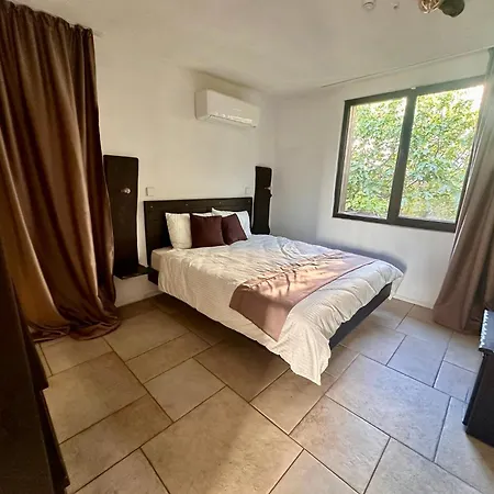 Arthotel Oscar Ii